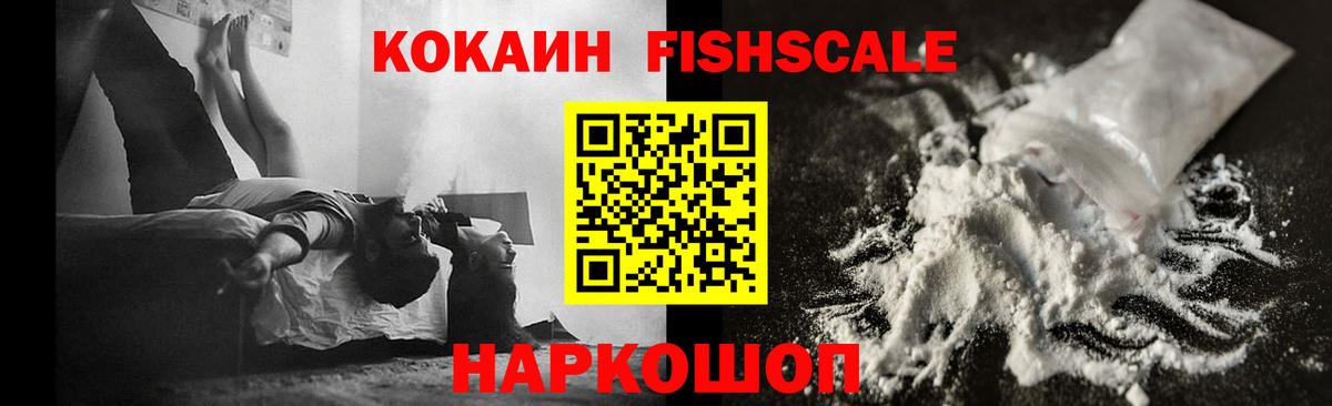 Кировск  COCAIN Fish Scale  Вход с VPN 